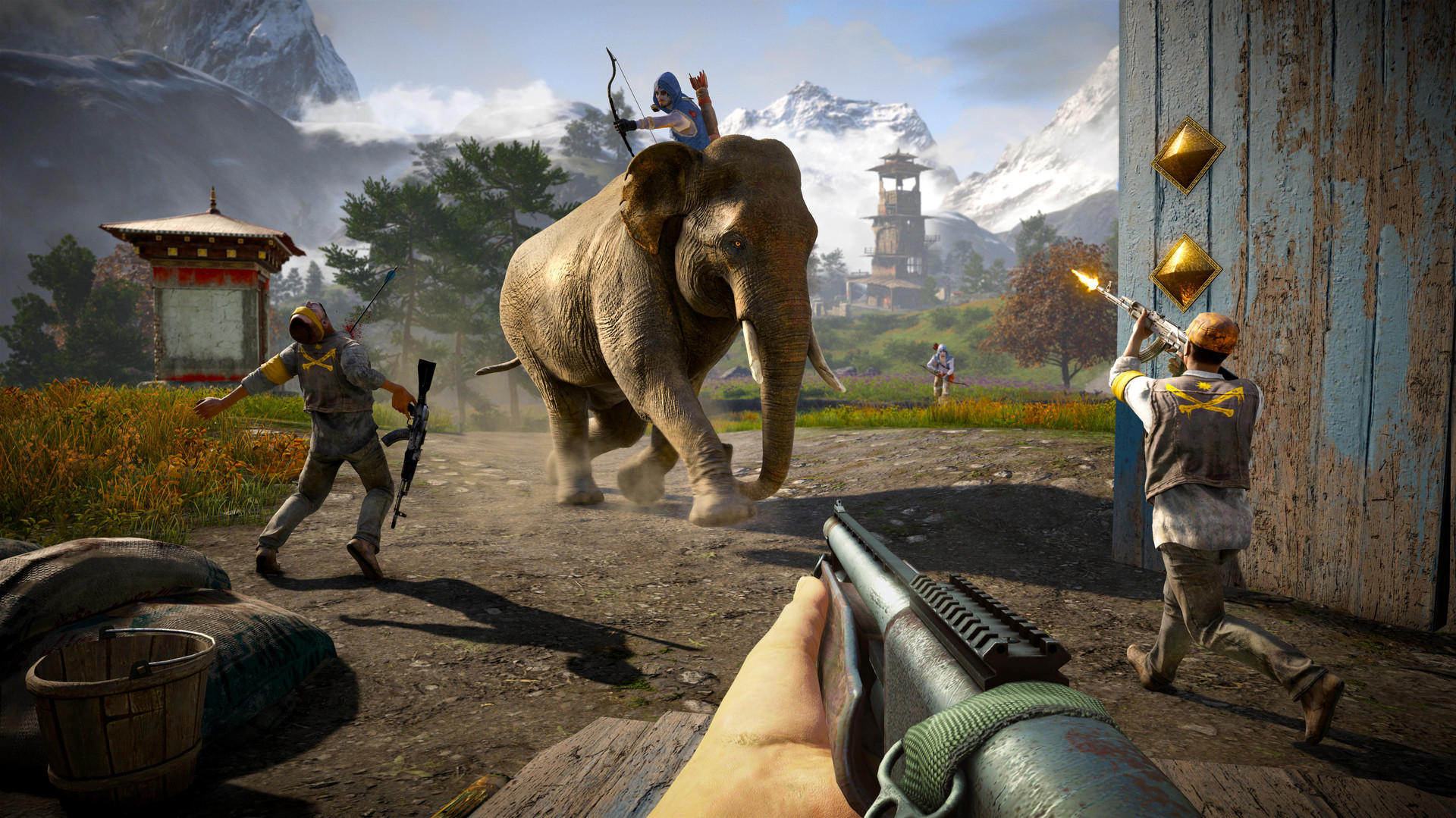 Far Cry 4  Overrun