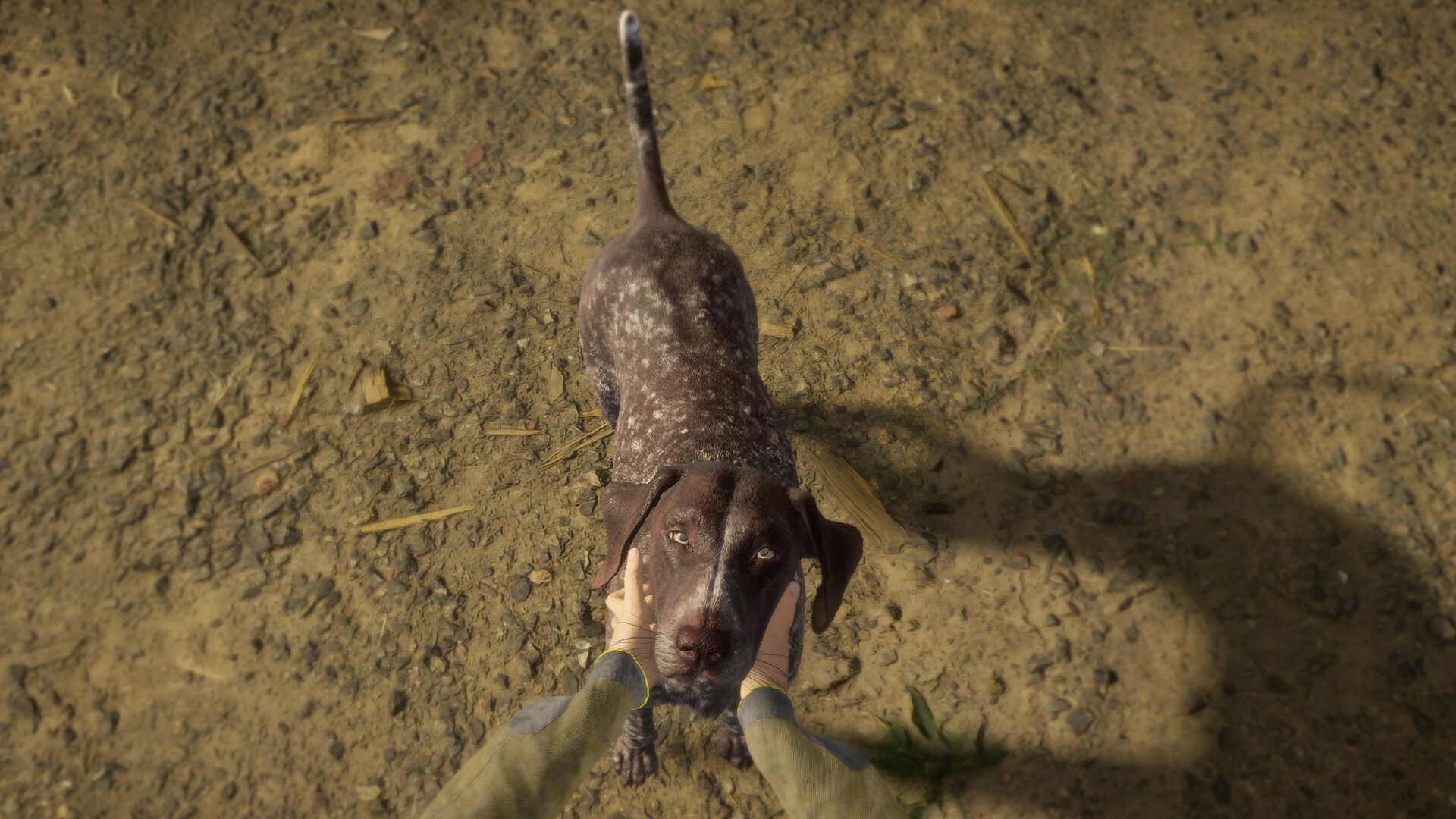 theHunter: Call of the Wild - German Shorthaired Pointer