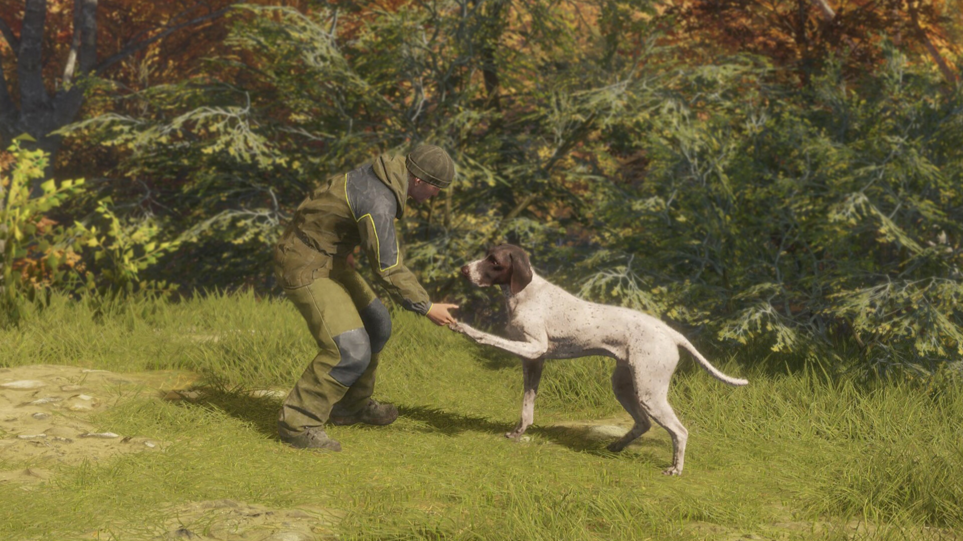 theHunter: Call of the Wild - German Shorthaired Pointer
