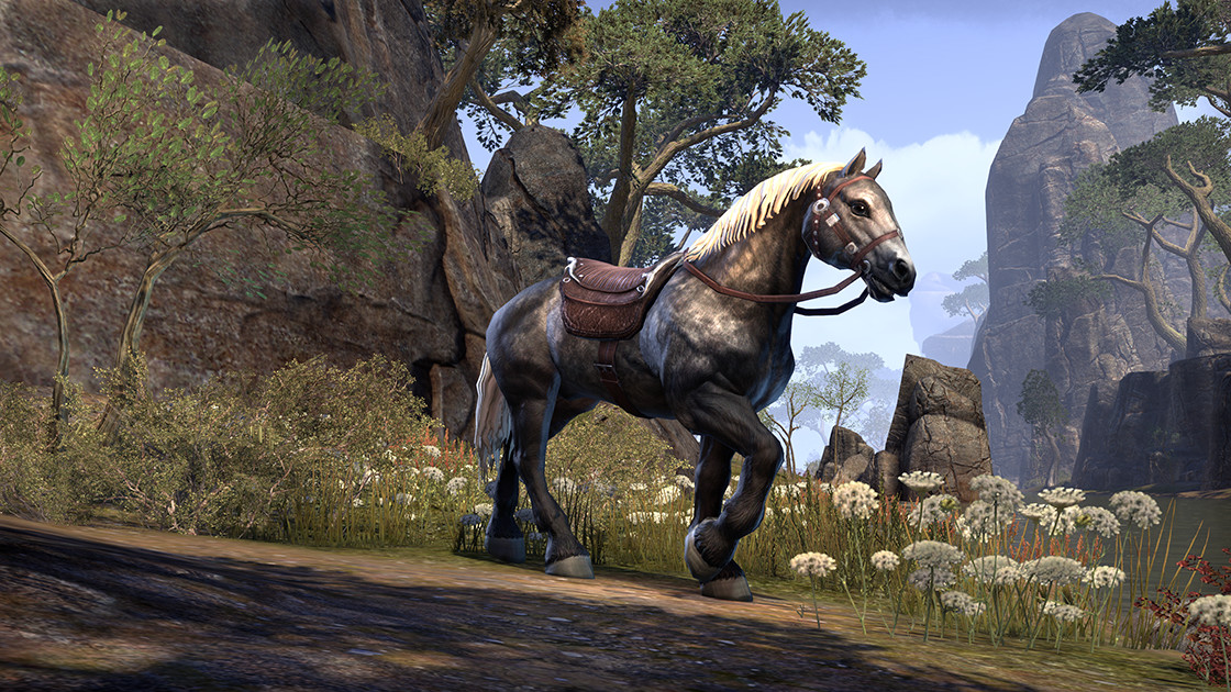 The Elder Scrolls Online - Crown Packs