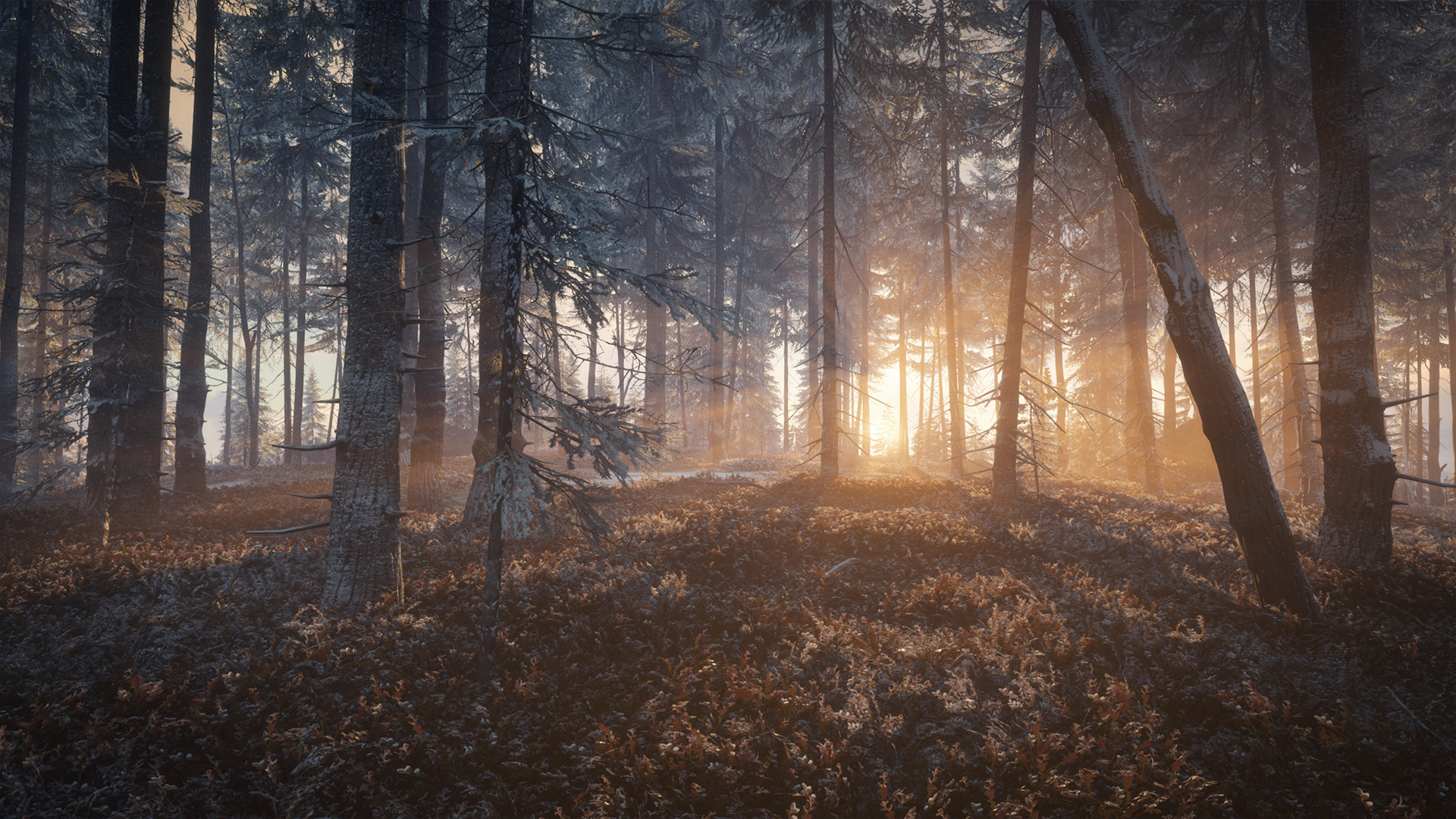 theHunter: Call of the Wild - Medved-Taiga